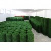 Зелений паркан Co-Group змішаного кольору H-1.20м х 5м в рулоні